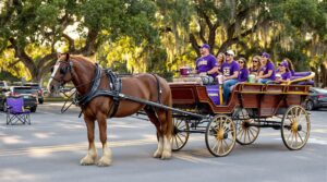 College football fans in purple and gold board a horse-drawn carriage in a shaded parking area with live oak trees and Spanish moss, preparing for game day in Baton Rouge.