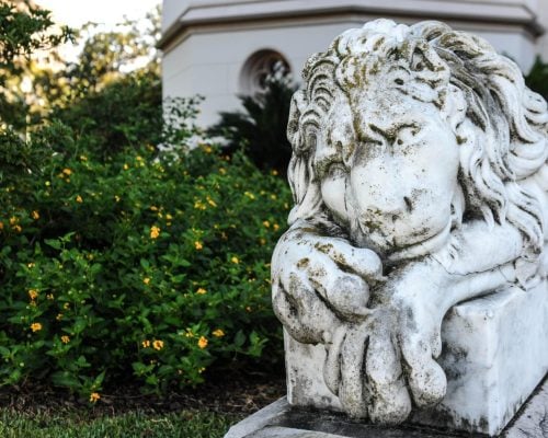 177-3-0553--Visit Baton Rouge Photos (241)-medium